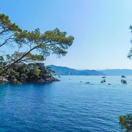 Mimosa Daire Rapallo Dış mekan fotoğraf